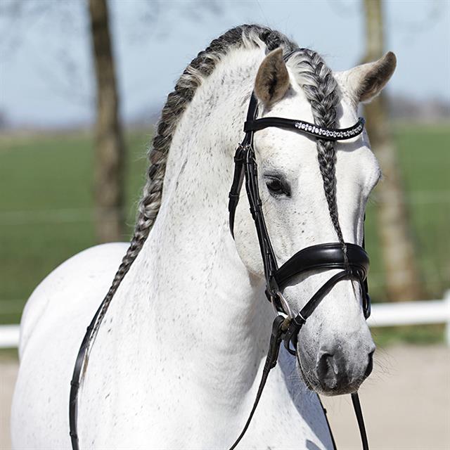 Hoofdstel HORSEGEAR HGHonestus Zwart