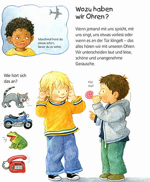 Das bin ich & Das bist du / Wieso? Weshalb? Warum? Junior Bd.5