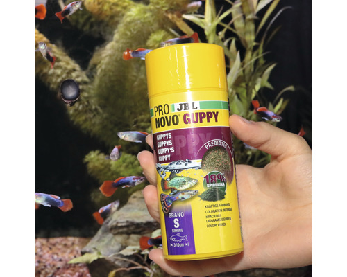 Korrelvoer JBL PRONOVO GUPPY GRANO maat S 250 ml