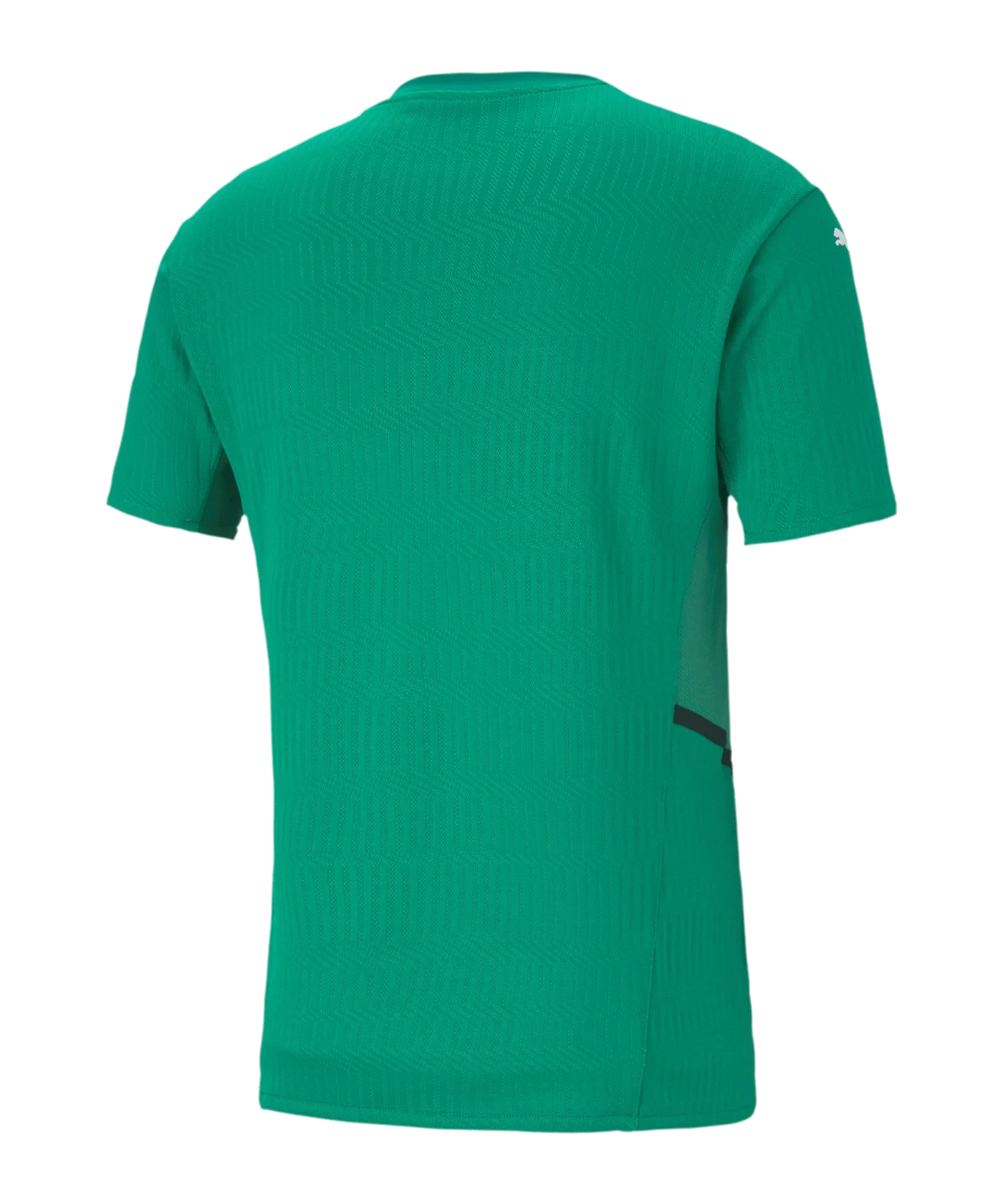 PUMA teamCUP Trikot Grün F05