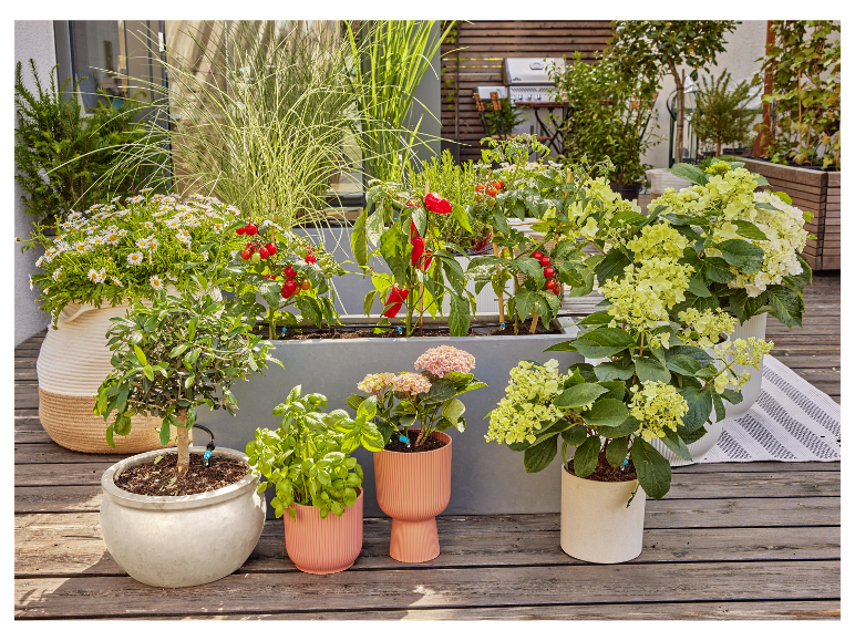 Druppelirrigatie voor de tuin Micro-Drip-System