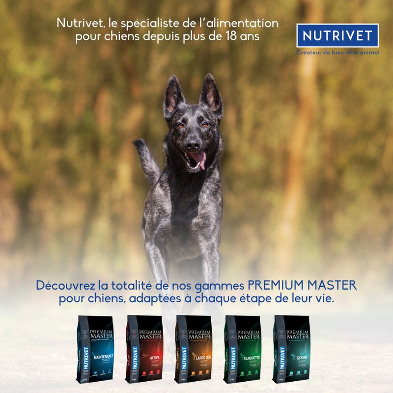 Nutrivet Premium Master Junior
