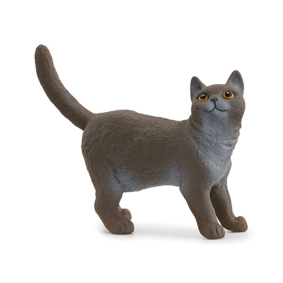 schleich FARM WORLD Britse korthaar kat 13973