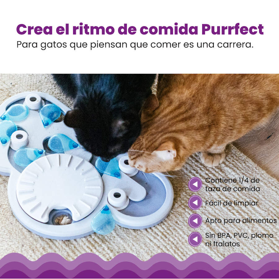 Brinquedo de Inteligência para Gatos Outward Hound Catstages Puzzle & Play para Dias Chuvosos