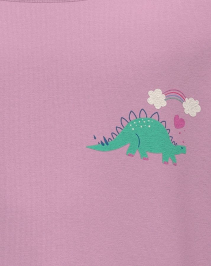 Langarmshirt NMFBELA DINO in pink lavender