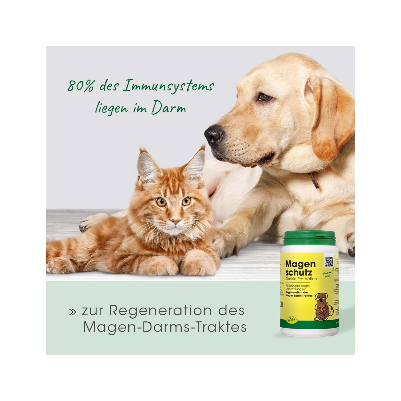cdVet Magenschutz 100 g