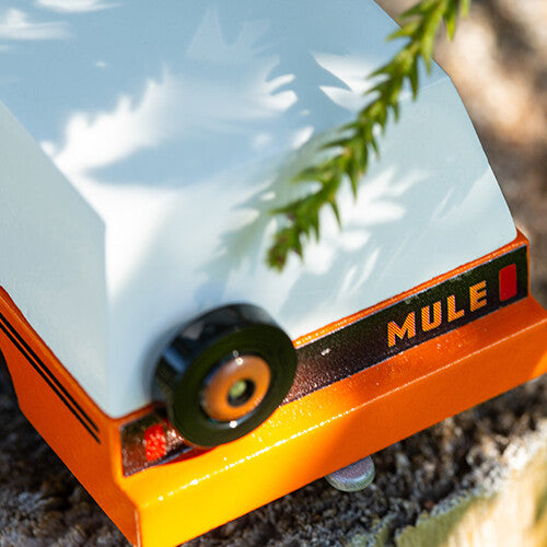 Candylab americana rio grande - orange mule