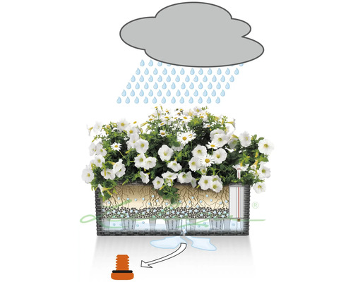 Lechuza Balconera Cottage plantenbak, kunststof, 50x19x19 cm, granieten afwerking, inclusief zelfbewateringssysteem en waterniveau-indicator.