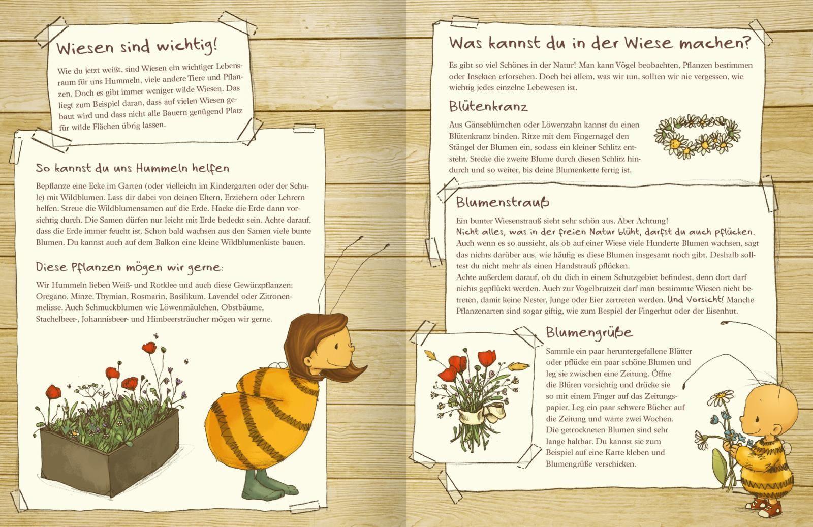 Die kleine Hummel Bommel entdeckt die Wiese