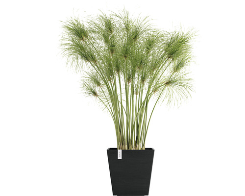 Ecopots Rotterdam kunststof plantenbak, 25,2 x 25,2 x 24,5 cm, donkergrijs