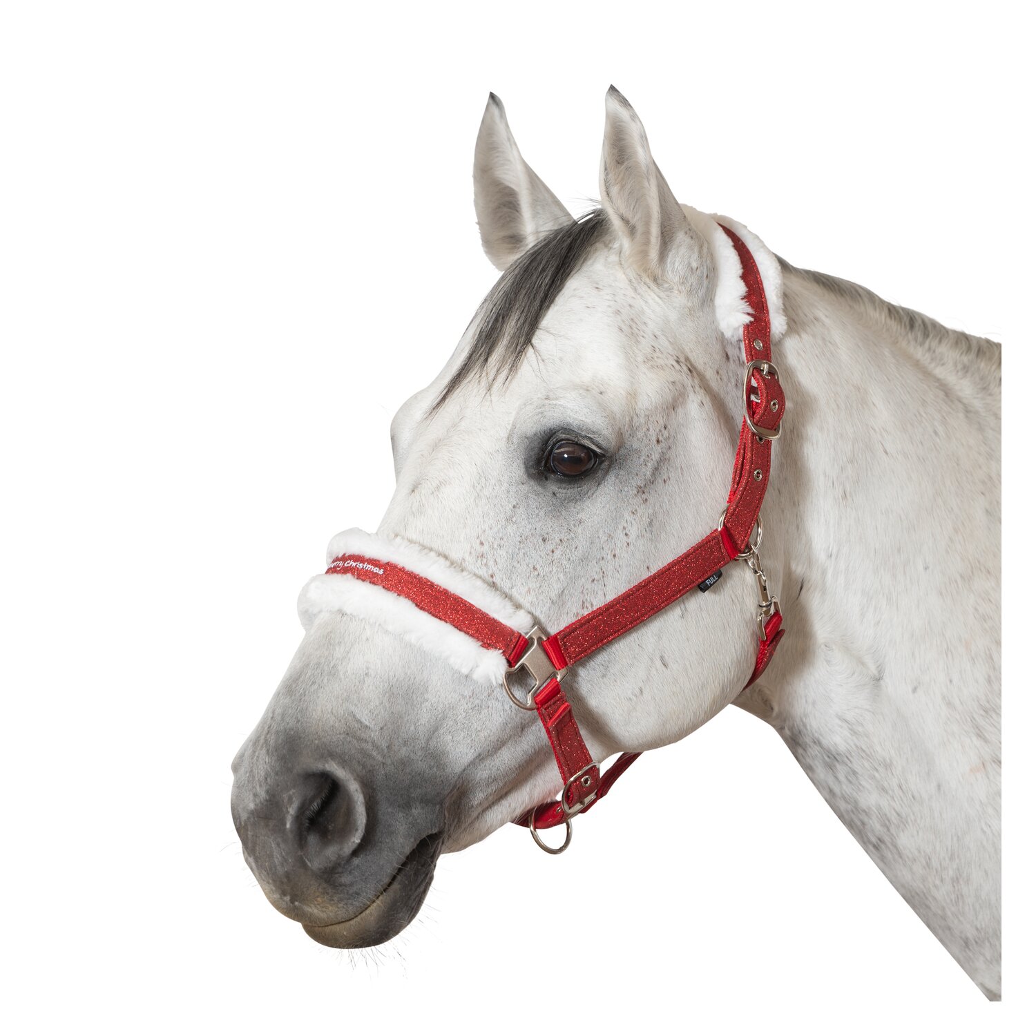 Horse-friends Weihnachtshalfter  - rot