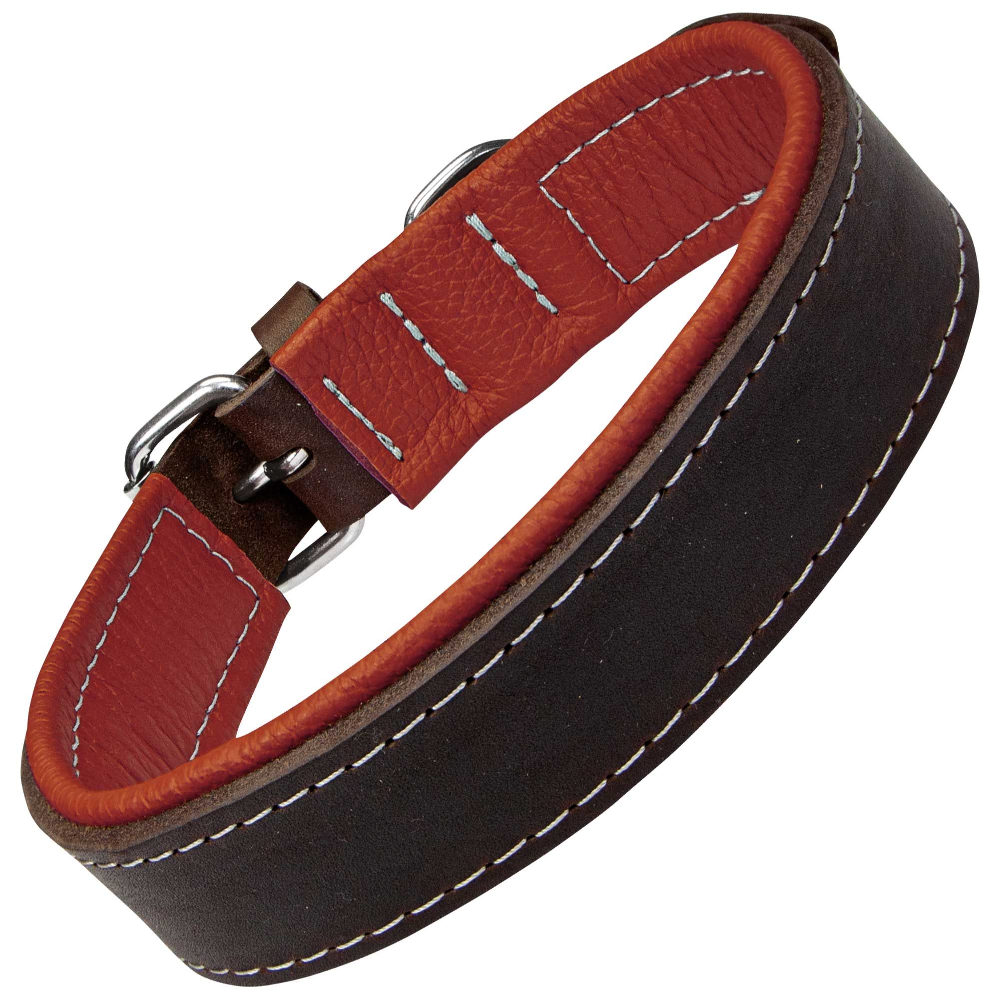 Schecker Hunde Halsband Moorfeuer