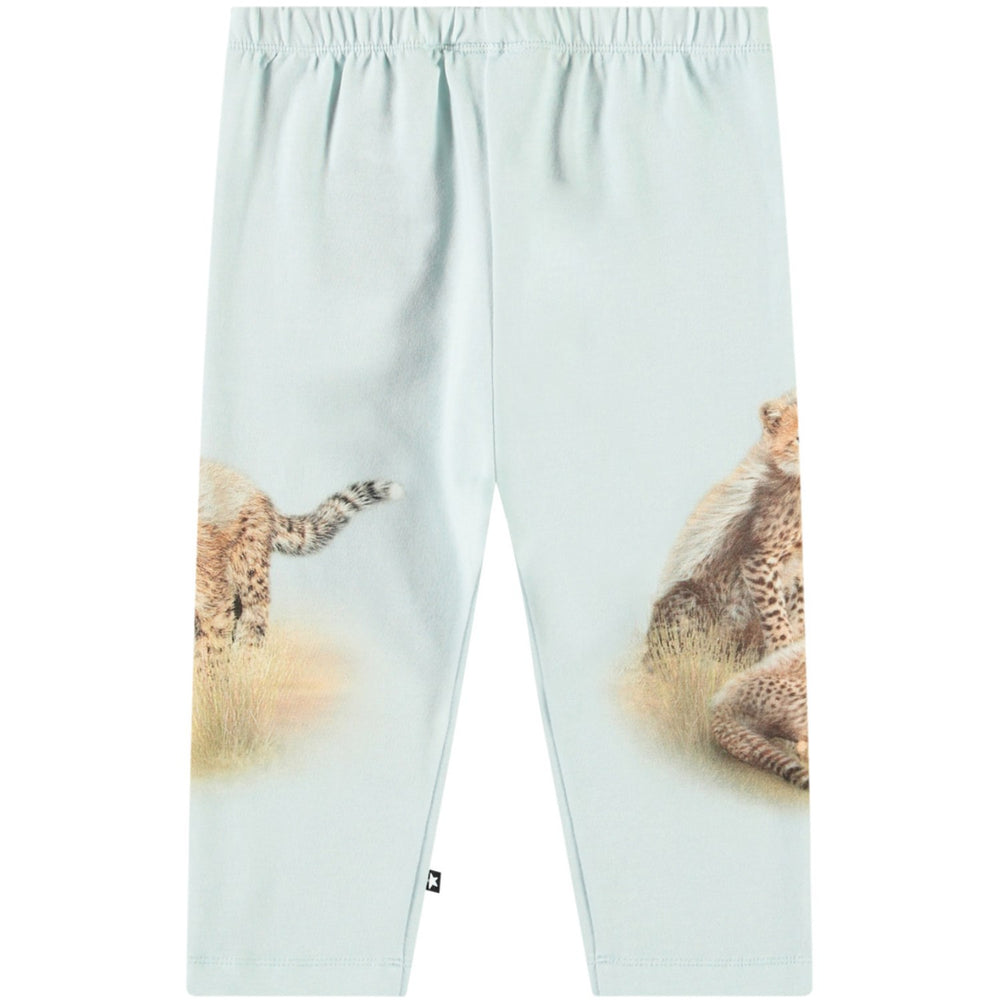 Køb Molo Cheetas Cute Simway Soft Bukser