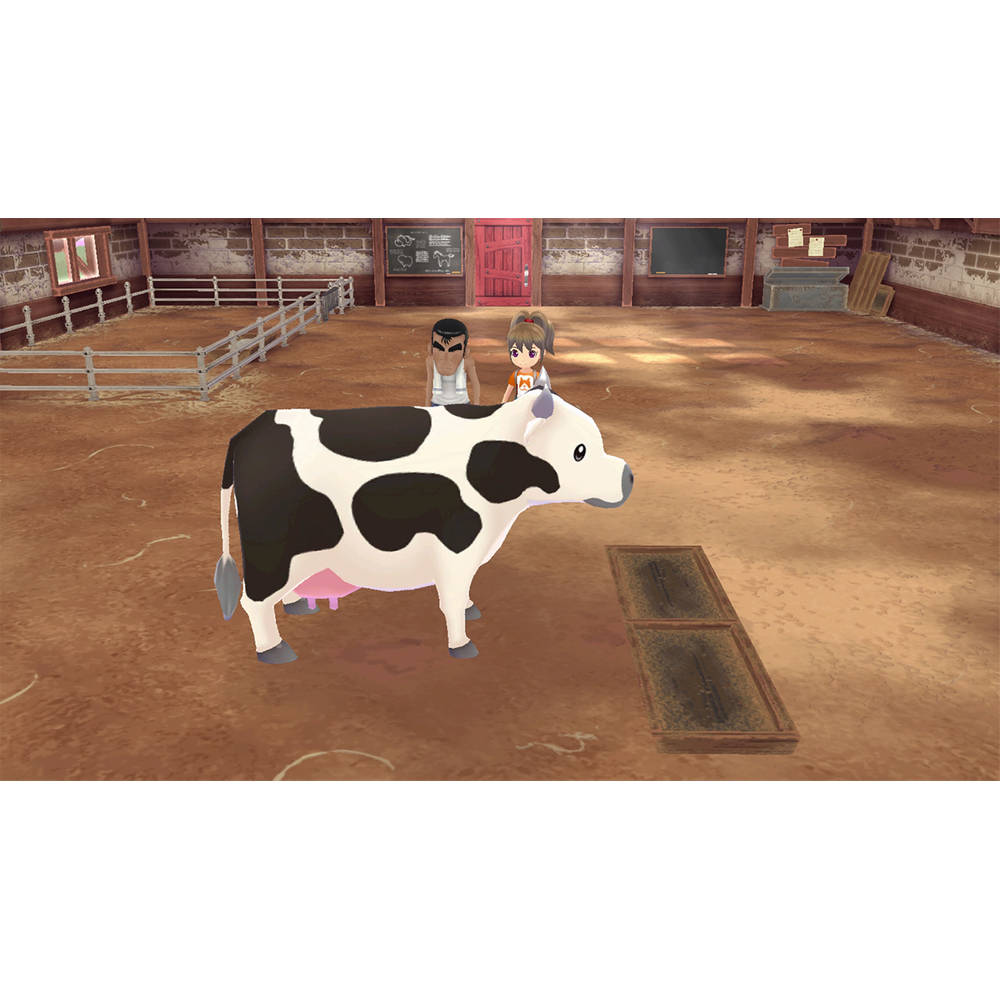 Story of Seasons A Wonderful Life Nintendo Switch