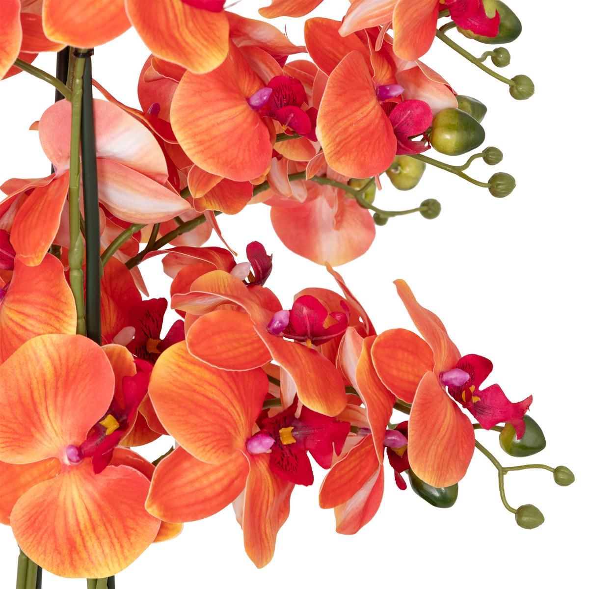 ORCHIDEE POT CIMENT SANAE ORANGE H.65CM