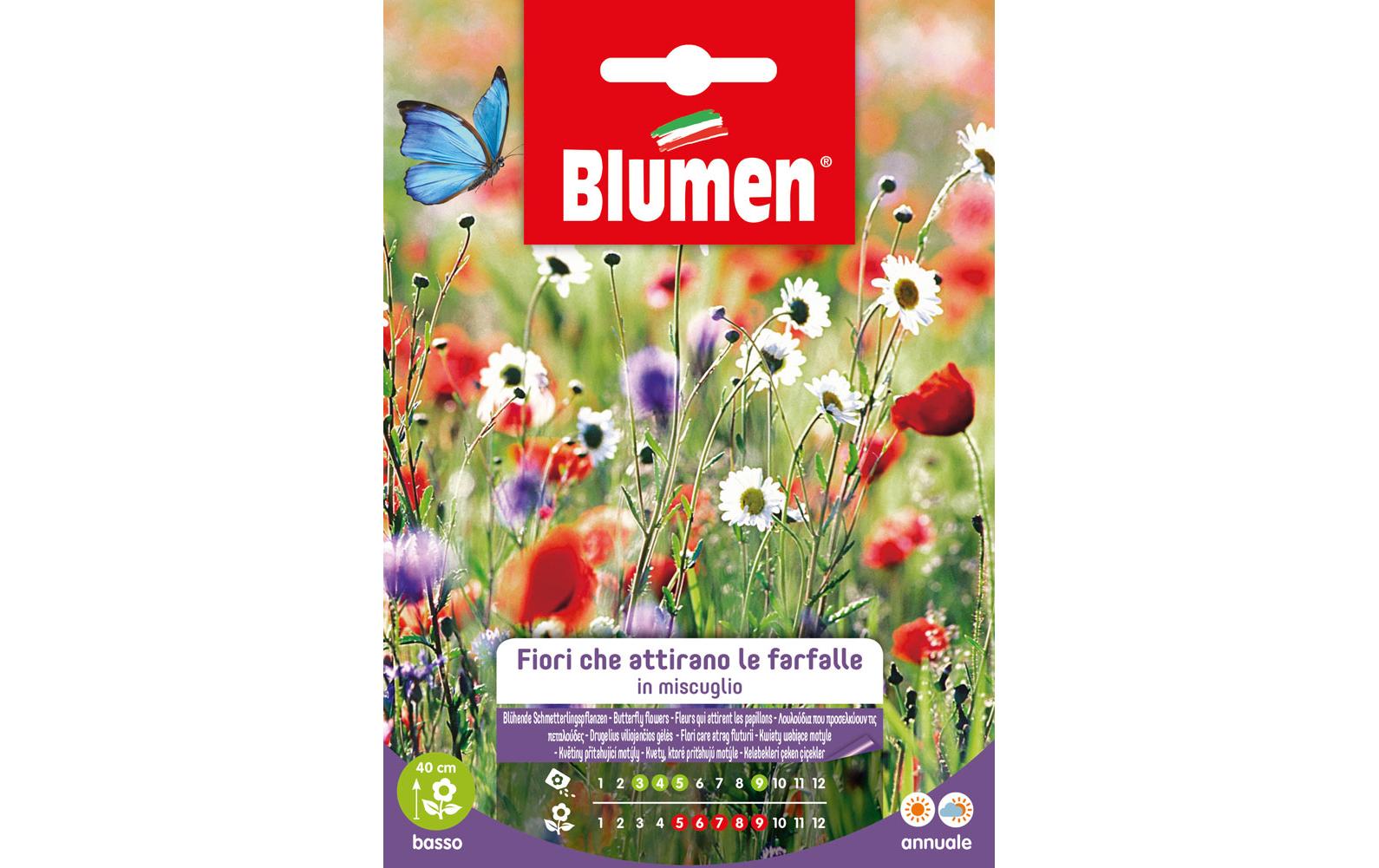 Saatgut Blühende SchmetterlingspflanzenBlumensamen