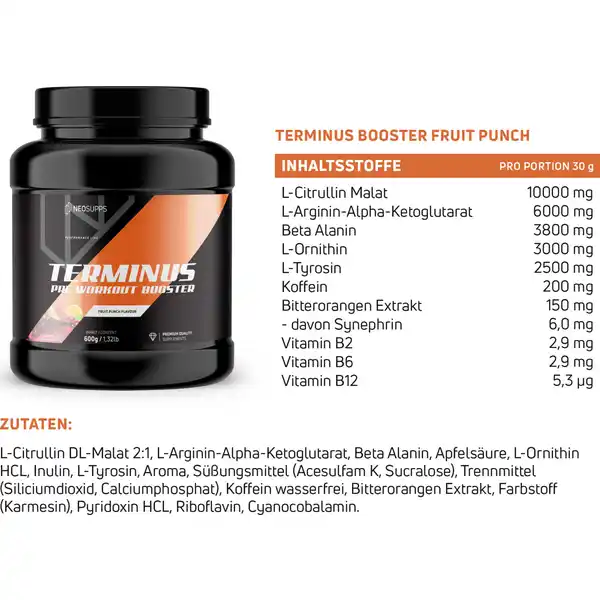 Terminus Booster Fruit Punch