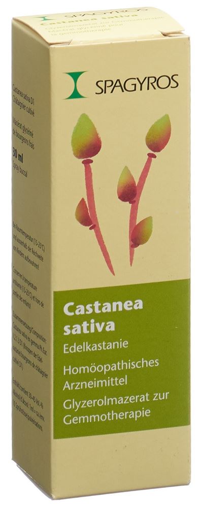 Spagyros Castanea sativa 1 D<br>30 ml, Spray, Glycerinmazerat