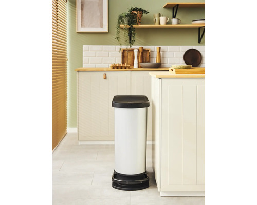 Rotho PASO mono 50 l zilveren kunststof pedaalemmer