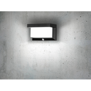 Eglo solar buitenlamp Utrera met bewegingssensor