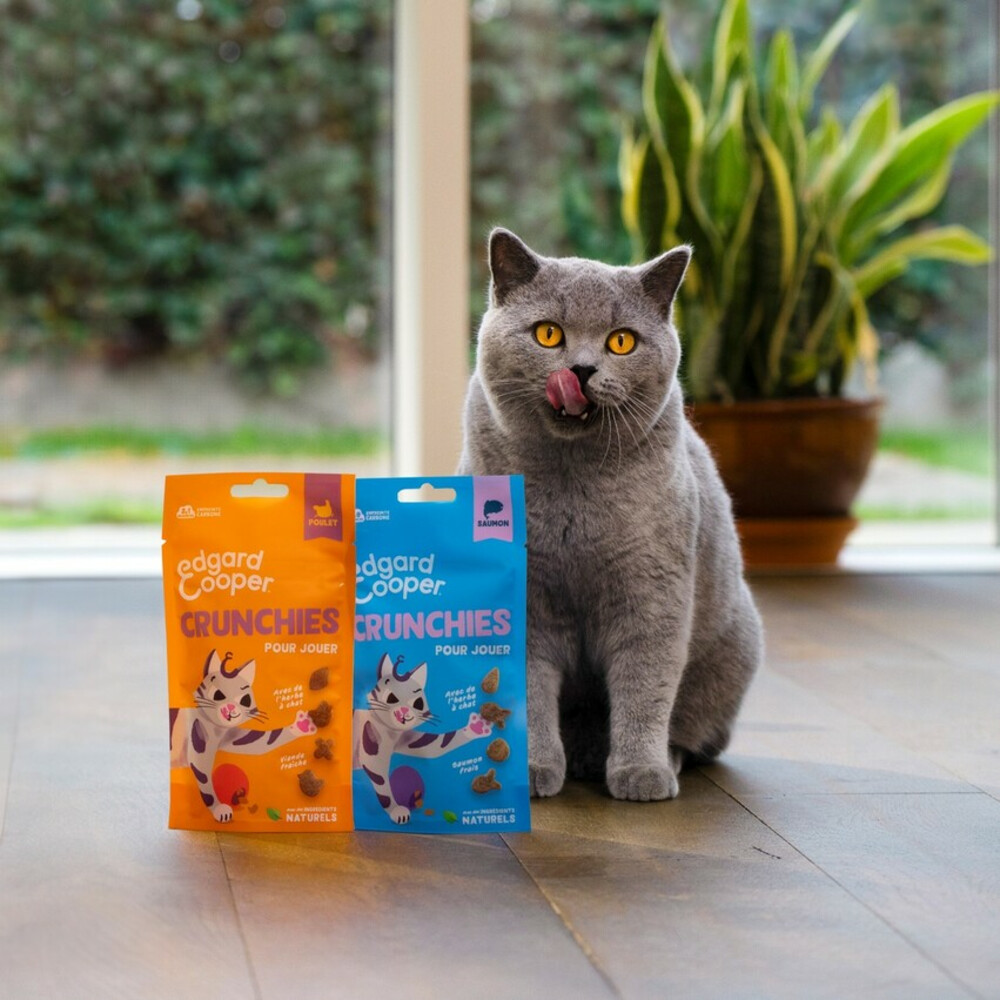 Edgard & Cooper Adult Crunchies Kattensnack Zalm50 gr