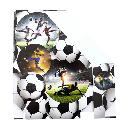 HERMA Stehsammler Karton Fussball, A4