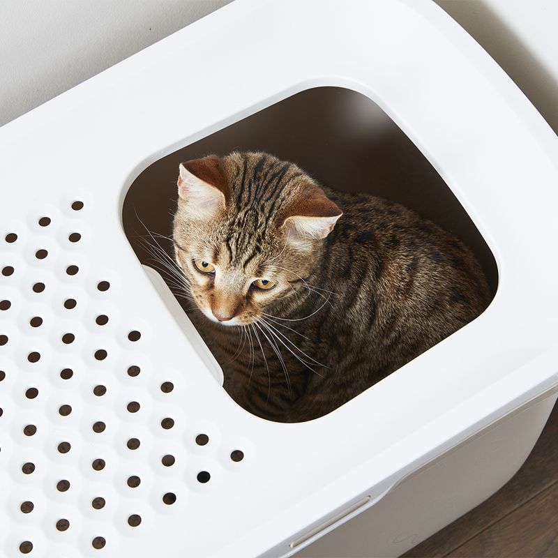Maison de toilette Savic Hop In
