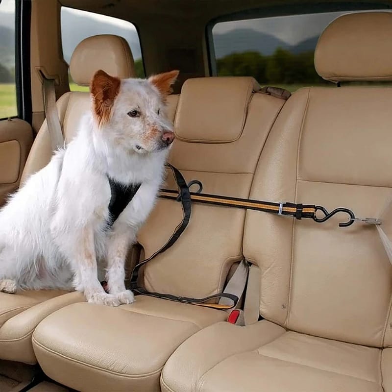 De Kurgo Zip-Line, de beste combinatie van vrijheid en veiligheid voor uw hond achterin de auto.