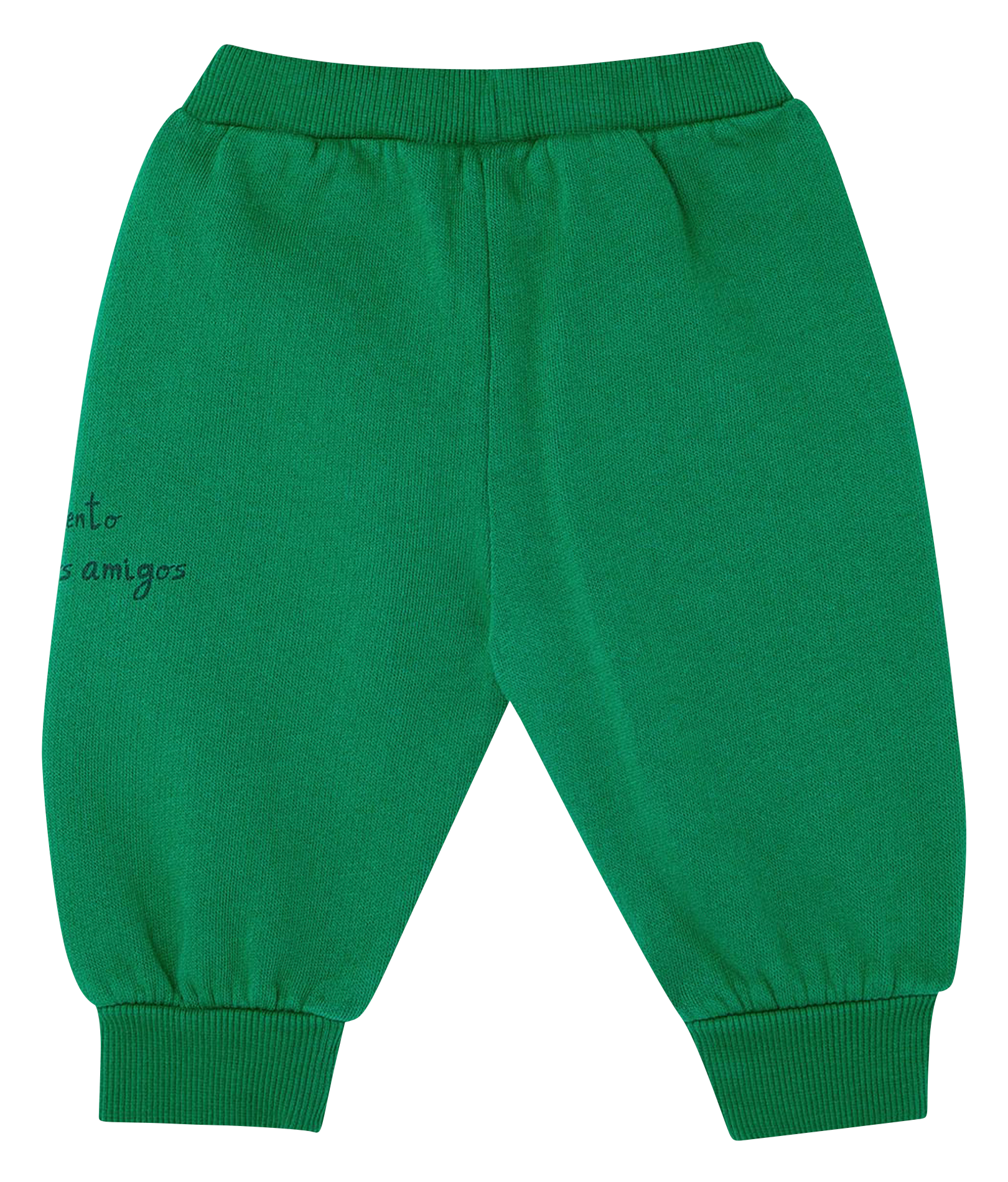 Pantalon droit en coton bio| Vert