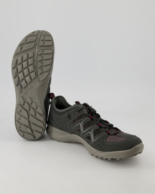 Ecco Terracruise LT M Wanderschuhe in Grau