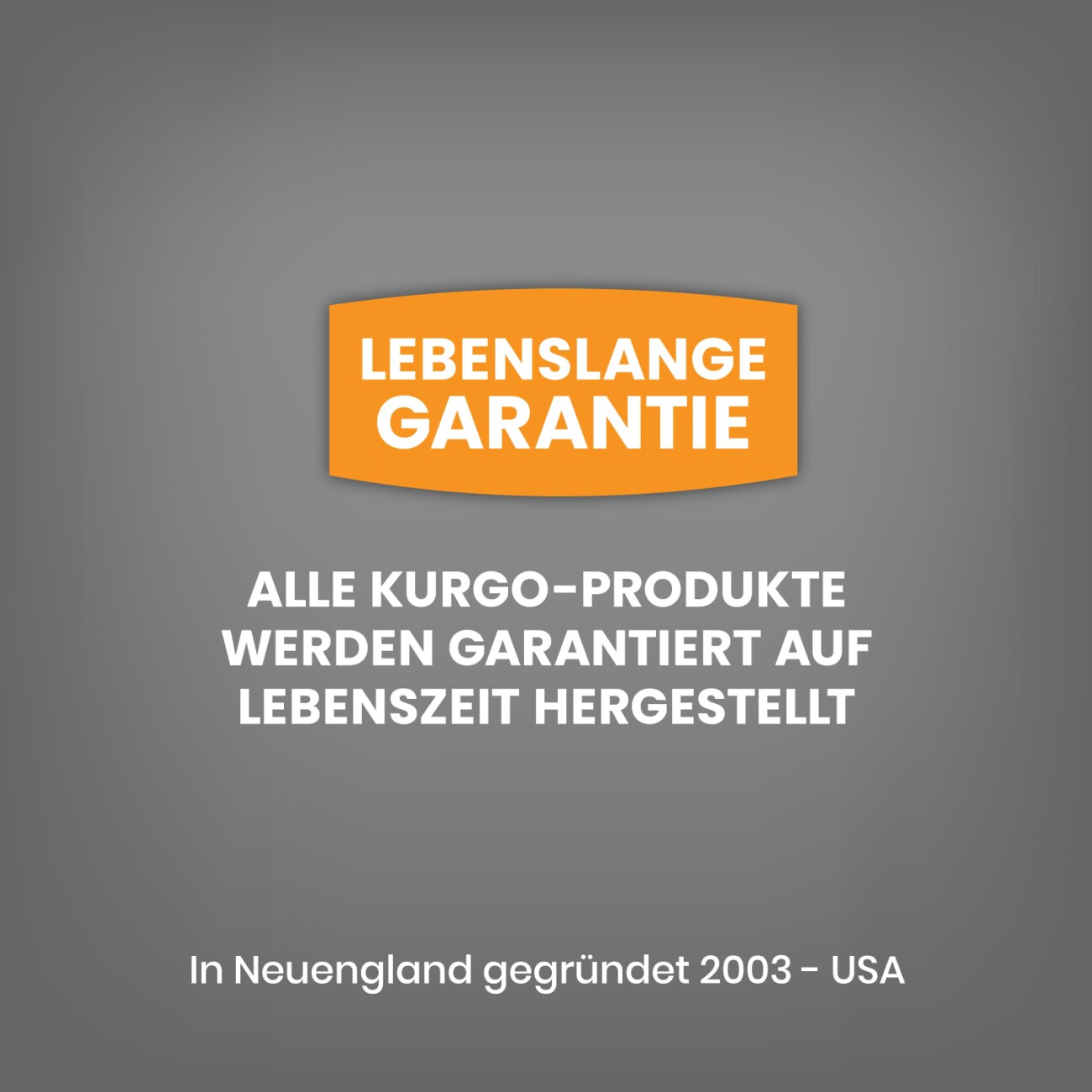 Kurgo RSG Townie Hundegeschirr blau S
