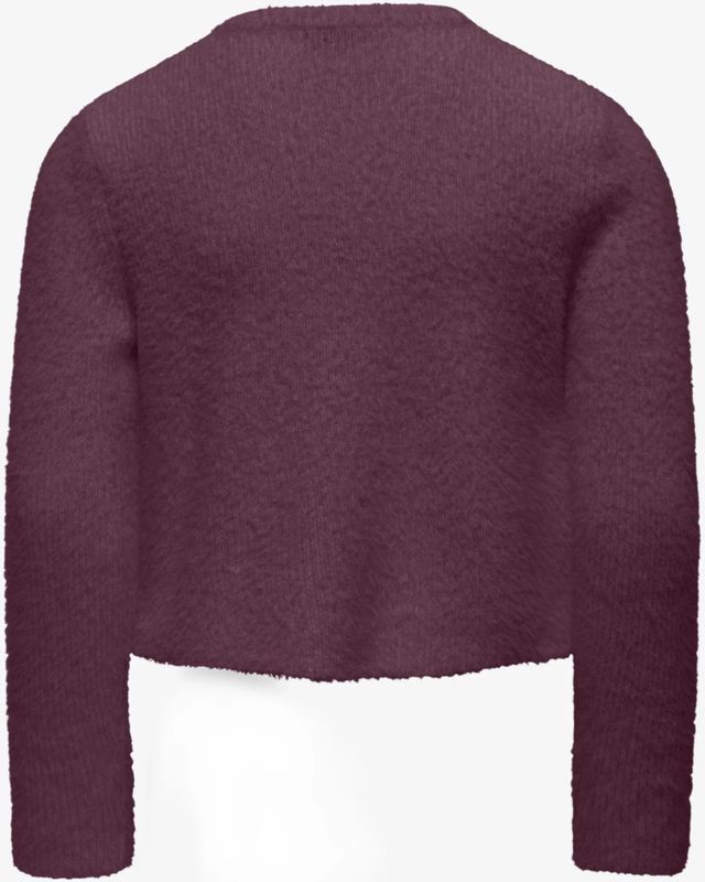 Kids Only - Kogpiumo Petra - Gebreid Vest - Bordeaux