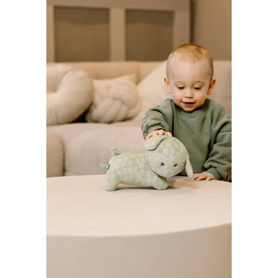 nijntje snuffie knuffel Green Flower - 25 cm