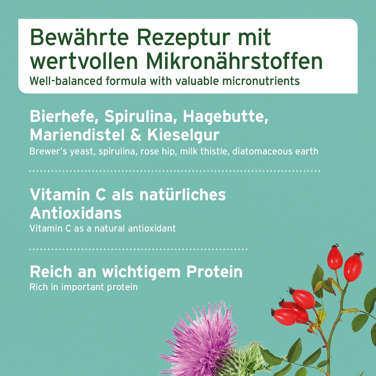 AniForte Fellharmonie Vitalpulver