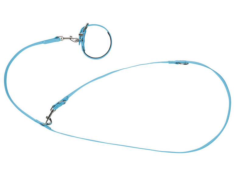 Hondenhalsband en -lijn
