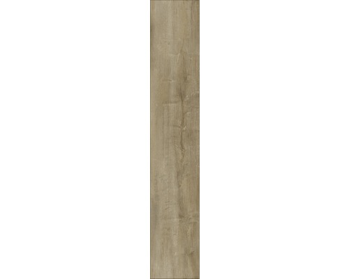 Laminaat 8.0 Exquisite Plus Oriental Oak natuur