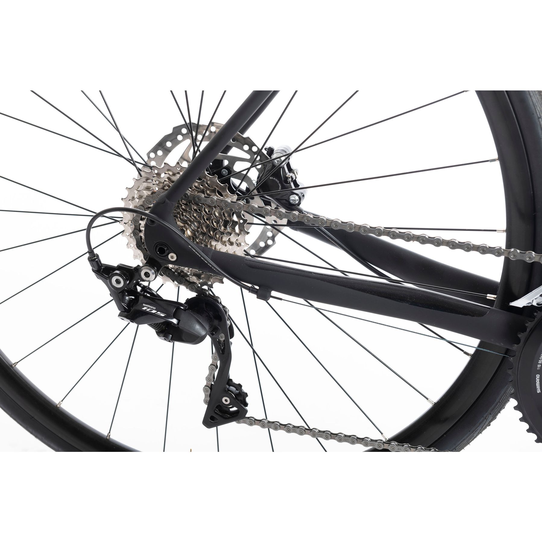 Sensa Latina LTD Dames 105 Disc 2025