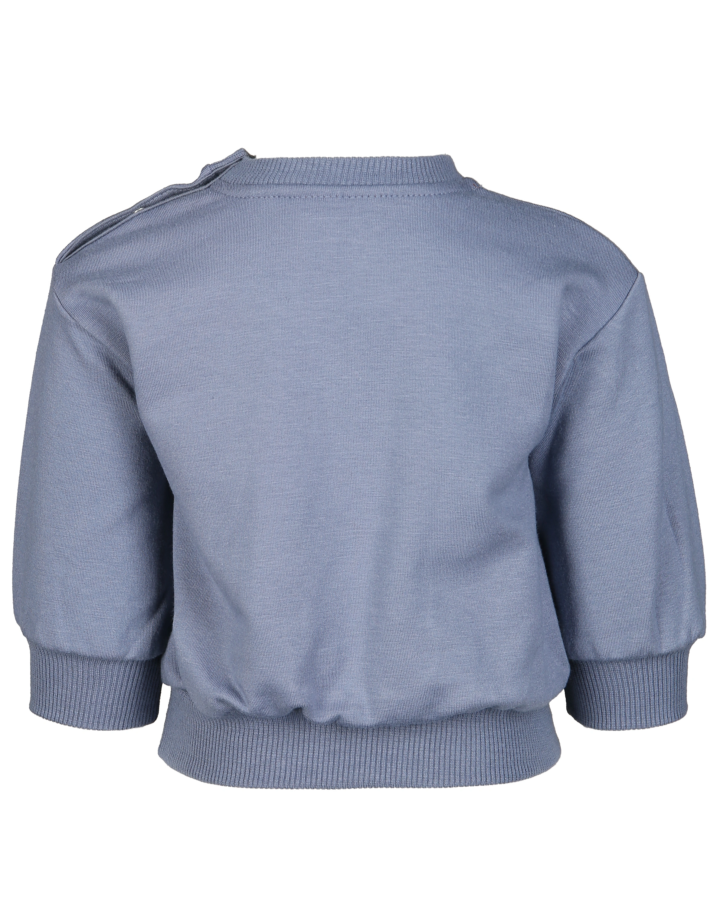 Sweatshirt BIRDY in ink pastell