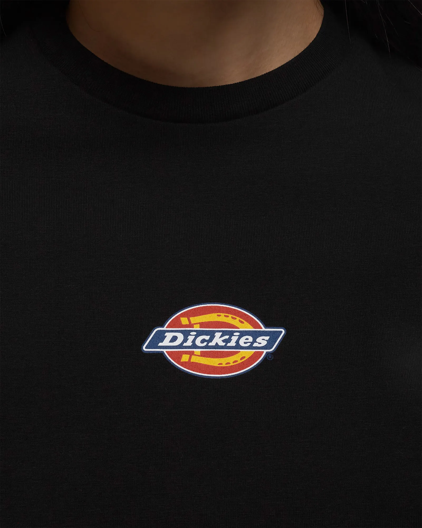 DICKIES MAPLE VALLEY TEE