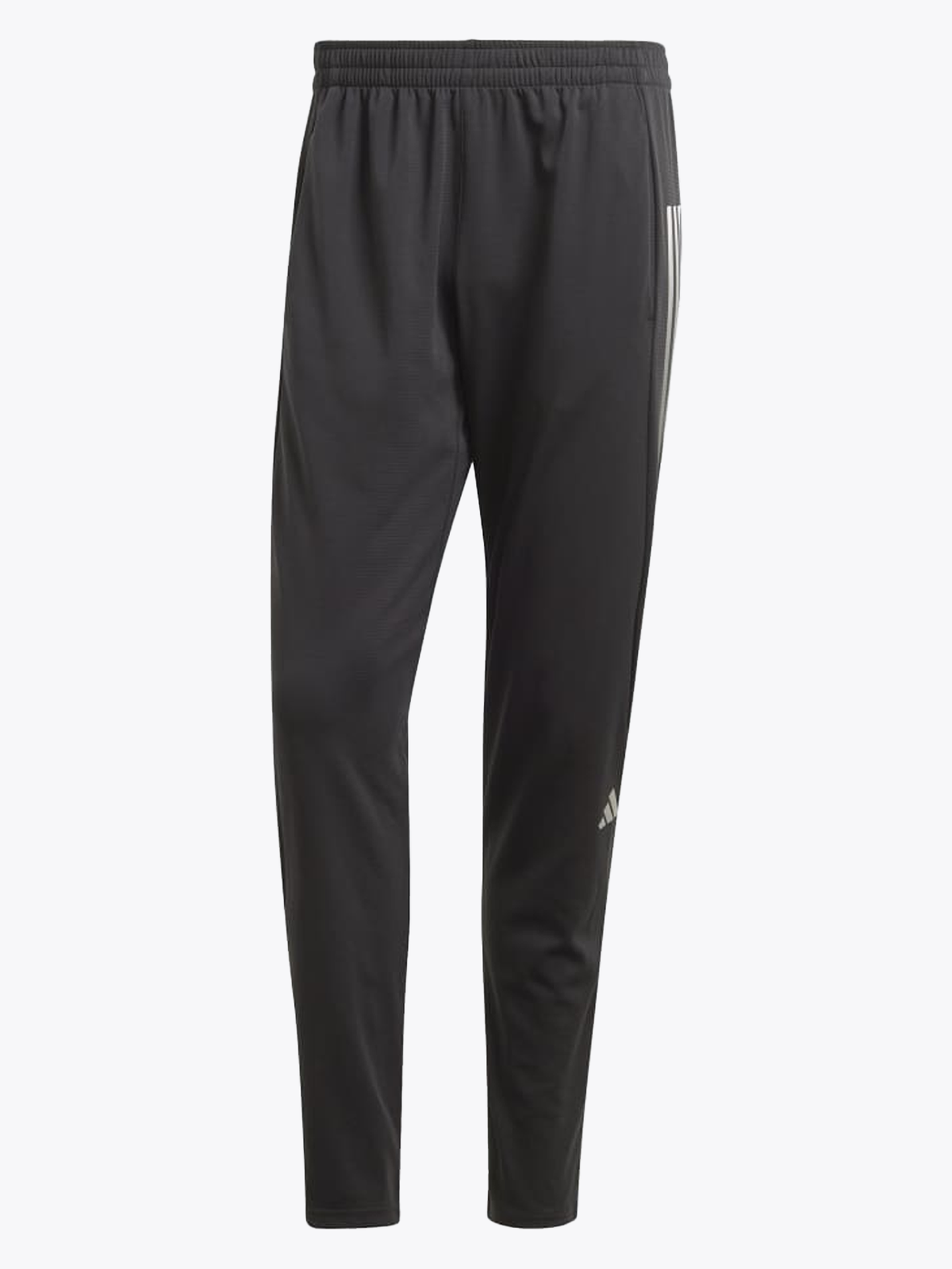 Run Icons Pant