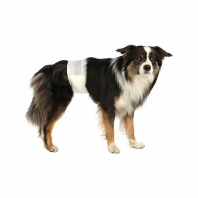 Couche culotte jetable pour fuite urinaire chien mâle Trixie - Lot de 12
