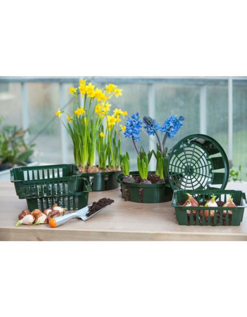 Nature Bollenplantmand - Kweekbenodigdheden - 25x21 cm Groen 3 stuks