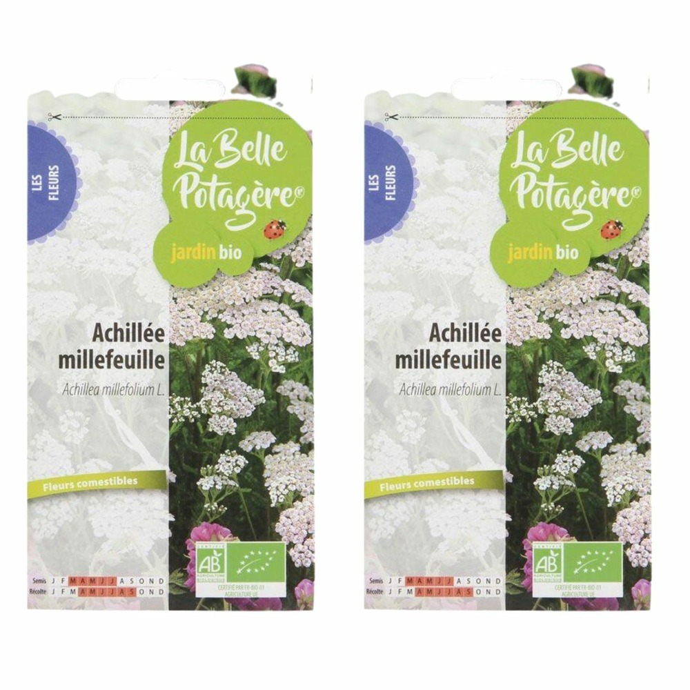 Graines à semer - achillée millefeuille - 0,30 g