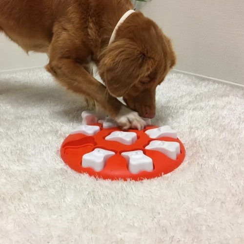 Brinquedo estratégico com petiscos para cães