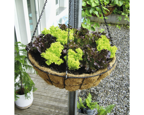 Bellissa Haas gietijzeren hangpot, 55 x 55 x 30 cm, zwart/bruin