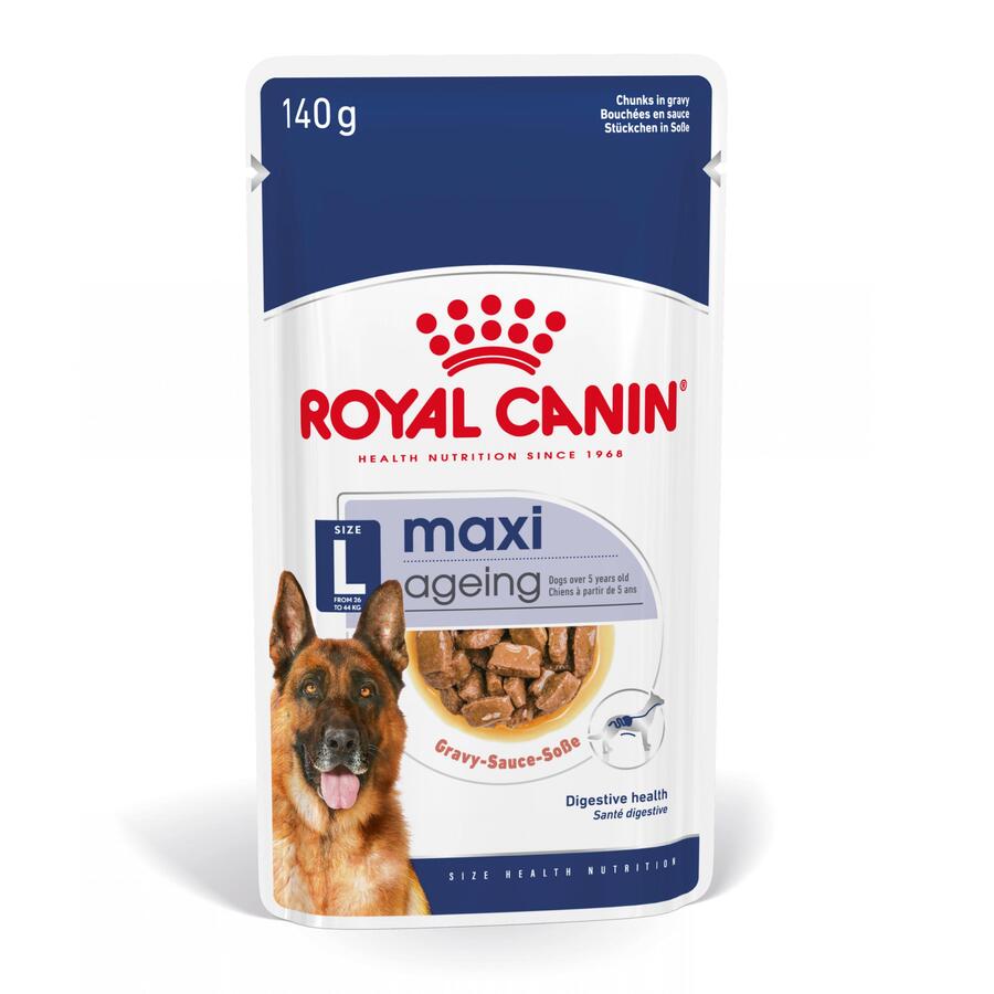 Sachê Royal Canin Maxi Ageing em molho para cães
