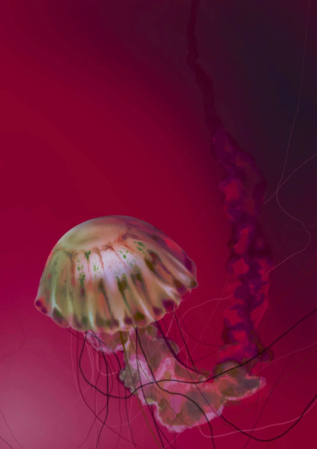 Fire Starter Jellyfish von Julia Charlott