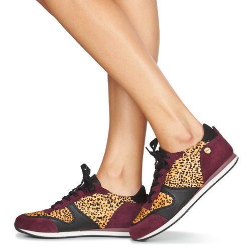 Pataugas - IDOL/I F4E - Bordeaux / Leopard