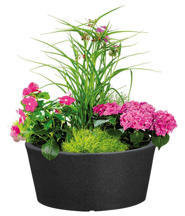 Scheurich Kunststoff-Topf C-Cone Bowl, rund,