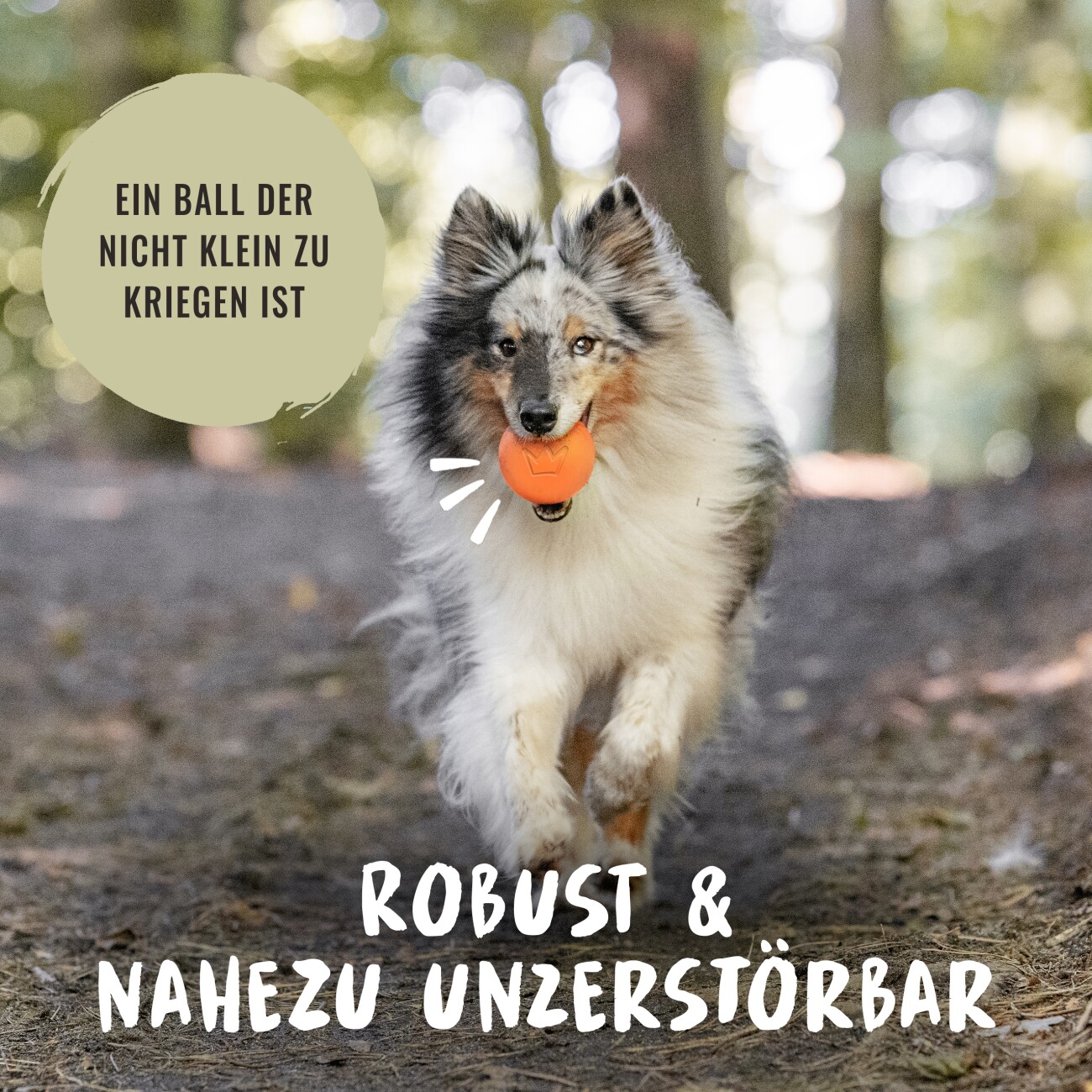 Rudelkönig Hundeball – Naturkautschuk Ball apricot
